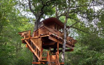 Wooden house in a tree